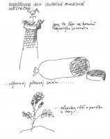 /album/fory-z-rek/cbhorazdovice-jpg/